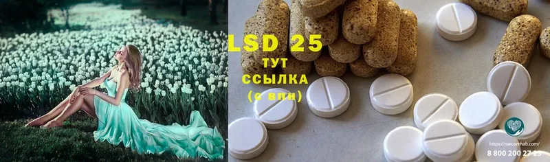 наркота  Дно  LSD-25 экстази ecstasy 