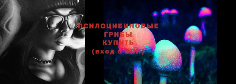 Псилоцибиновые грибы Psilocybine cubensis  купить наркотик  Дно 